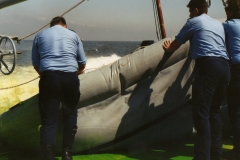 IMG039