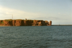 IMG082