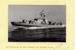 Fische-Erinnerung