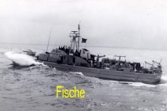 Fische-Seegang